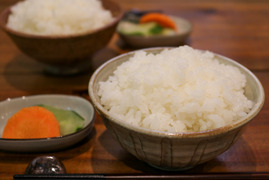 栽培期間中農薬化学肥料不使用　コシヒカリ「うきぬの米」無洗米５㎏【新米R5年産】