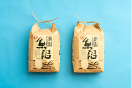 【ふるさと納税・定期便6ヶ月】令和7年産【魚沼産コシヒカリ 白米】2kg×6回分 ＜新潟県＞