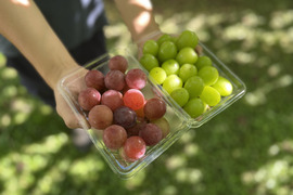 信州の粒ブドウセット【シャインマスカット】×【シナノスマイル】700g [SmSs]