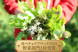 【業務用2kg】濃い味！山形県産JAS有機ベビーリーフ