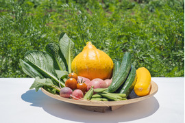 【おためし少量】旬の野菜セット(野菜4種類)農薬・化学肥料不使用