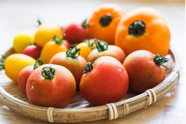 カラフル＊トマト食べ比べ (約1kg)
