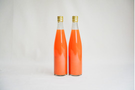 有機にんじんジュース（500ml、2本入り｜有機にんじん100%使用）