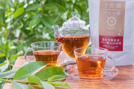 ノンカフェイン！お食事にもスウィーツにも合うグァバティー【30包入り】2個セット