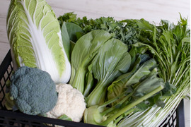 【旬の上州野菜】Mサイズ（6~7品目）梱包まで丁寧に