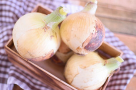 採れたて！甘々！新玉ねぎ(5キロ箱サイズ)