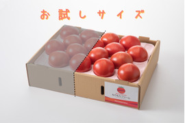 【お試しサイズ◎7月下旬出荷スタート！】あ、あまい・・！高糖度トマト 0.8kg　化学肥料・農薬完全不使用　青森県産