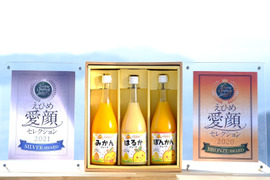 🍊人気ＮＯ．１🍊【ギフト用】　天晴みかんジュース３種セット　みかんジュースコンクール2年連続受賞！