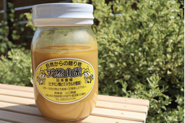 令和５年度　濃厚な甘味の天然山蜜(450g)大ビン🐝採れたての新蜜です🍯