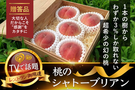 世界の果てまでイッテQ!紹介🍑1000個中1個の幻🍑今話題沸騰中の幻のシャトーブリアン桃🍑1本の樹からわずか3%しか取れない圧倒的糖度幻の桃5個【贈答用箱入り】【朝どれ】🍑6月下旬予約🍑