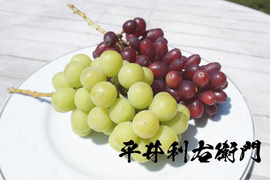 iyo（シャインマスカット　クイーンセブン） 食べたら止まらない！次世代赤いシャインマスカット『クイーン