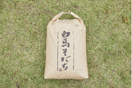 【令和6年米】特別栽培米　コシヒカリ(白米27kg/玄米30kg)