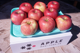 訳ありご家庭用🍎ふじにそっくりな「ほのか」3kg 低農薬で皮ごとおいしい