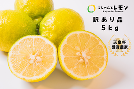 年末年始セール【天皇杯受賞農家】訳あり 高知県大月町産・農家直送 こじゃんとレモン 5kg（化学肥料/防腐剤/ワックス不使用）