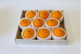 【母の日ギフト】濃厚でジューシーな越冬完熟不知火（きみのデコ）