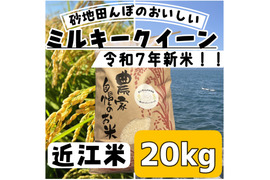 【令和7年新米】【白米】 『ミルキークイーン20kg』冷めてもおいしい！圧倒的なもっちり感と強い甘みが特徴！おにぎりやお弁当にも最適！