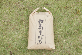 【令和5年産】有機JAS認証　農薬不使用　コシヒカリ(（白米27kg）玄米30㎏)お米