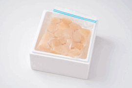 【冬ギフト】サイズ不揃いホタテ貝柱（250g）｜岩手県三陸産