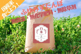 家計応援米‼　ササニシキ5ｋｇ(中米）