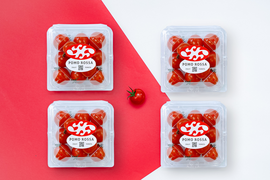 【大人気商品♫】甘さと香り抜群！フルーツトマト「ポモロッサ」（4パック＋おまけ2つ付）