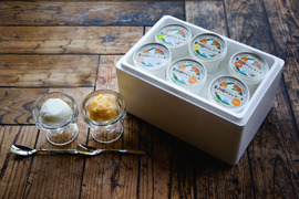 旬の美味しさを閉じ込めました　新発売　果樹園のジェラート『柑橘シャーベット食べ比べセット』３種類6個入り　配達日時指定便 杉山農園