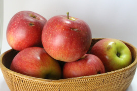 🍎「シナノスイート」見切り品10キロ☆加工にイチオシ！簡易包装でたっぷり楽しめます〜もったいないりんごを減らしたい〜※化学合成農薬約40％削減