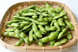 【お得用売り切れ】おつな姫！初だるま！味わい濃厚枝豆さや1.8kg