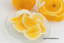 【訳アリお買い得！】甘いワタまで食べる日向夏・早生(5kg）