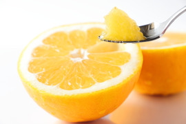 無・河内晩柑4kg