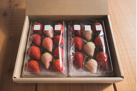 紅白いちご６品種食べ比べセット　240g×2p　【春ギフト】
