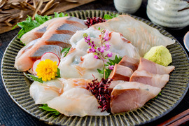 お刺身定期便／活〆、３Ｄ冷凍