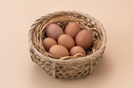 【北海道平飼い自然卵】純国産鶏「もみじ」２０個（１０個パックが２つ）割れ保証卵２個含む