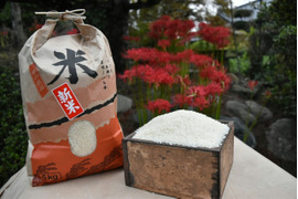 【玄米30㎏】栄養たっぷり！茨城産新米コシヒカリ！