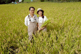 ★農薬・肥料不使用！ 自然栽培米　玄米10kg（10kg×1）　令和７年度熊本県産　森のくまさん　※精米承ります（分づき米にも対応）★