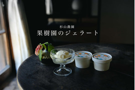 新発売　果樹園のジェラート『杉山農園おすすめセット』１２個入り