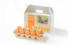 【お試し品】水野谷鶏卵店の黒鶏の卵(10個入り)×3パック