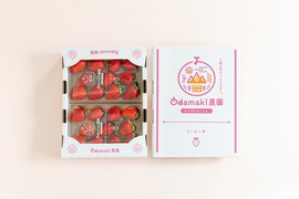 奈良高級ブランドいちご『古都華』特別栽培農産物　2パック1箱