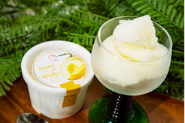 【新登場】【夏ギフト】『ゴールデンパールメロン』シャーベット 100ml×6個