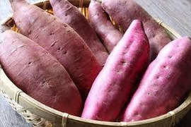 さつまいも【ほくほく・ねっとり食べ比べ】【３種MIX】   約2kg(6〜9本)　土付き【数量限定】