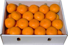 濃厚果汁！南津海（なつみ）贈答用５Kg