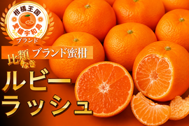 🍊ルビーが口の中に怒涛に押し寄せる🍊お得な大容量ルビーラッシュ傾斜35度を誇る絶壁で実る希少な宇和島ブランド☆約3kg【家庭用・贈答用】【2026年11月中旬予約】