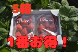 完熟とちあいか　約300g×2P  5箱