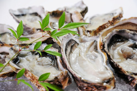 【生食用】殻付かきハーフシェルオイスター　8個入　殻を半分開けてお届け！　広島の海から直送♪　鮮度抜群！安心安全なこだわりの殻付かき