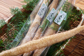 日本初のオーガニック自然薯！！ミシュランシェフも御用達【有機JAS認証家庭用１ｋｇ】