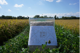 体の内側から元気に！特別栽培米 発芽玄米1K