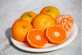 みかん 5ｋｇ‼　　
温州みかん　家庭用
順調に発送しております♪！！