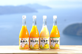 🍊おすすめ！🍊【御家庭用４本】　天晴みかんジュース