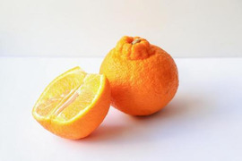 愛媛県産 不知火デコ同品種2kg