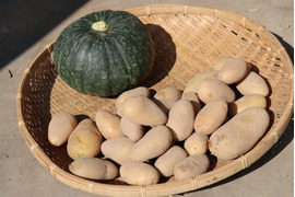 セット販売【かぼちゃ1個 馬鈴薯（メークイン）合わせて約5kg】