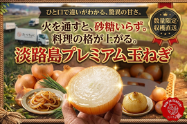 【長期保存OK】淡路島産 特選玉ねぎ「ターザン」10kg｜吊るして長持ち、コク深い一級品